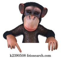 Monkey Monkey