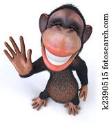 Monkey Monkey