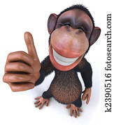 Monkey Monkey