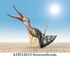 pterosaur rhamphorhynchus