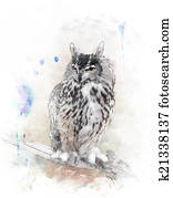 Watercolor Image Of Owl Watercolor Image Of Owl