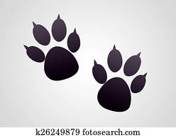 Animal footprints