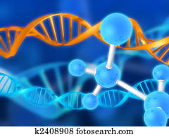 science science
