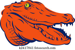 Alligator head Alligator head