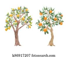 Beautiful set with cute watercolor fruit trees. Stock illustration. Beautiful set with cute watercolor fruit trees. Stock illustration.