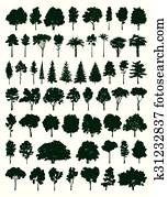 Trees set Trees set