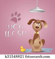 Dog grooming Dog grooming