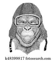 Gorilla, monkey, ape Frightful animal wearing vintage motorcycle helmet Tattoo, badge, emblem, logo, patch, t-shirt Gorilla, monkey, ape Frightful animal wearing vintage motorcycle helmet Tattoo, badge, emblem, logo, patch, t-shirt