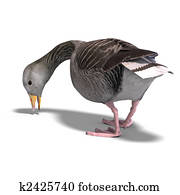 grey goose grey goose