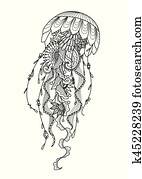 Jellyfish Jellyfish