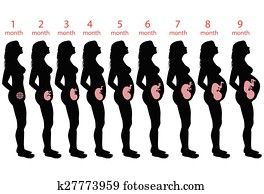 Pregnant woman Pregnant woman