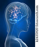 active brain active brain