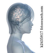 active brain active brain
