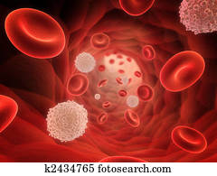 blood stream blood stream