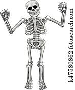 Cartoon Standing Skeleton Cartoon Standing Skeleton