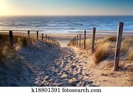path to North sea beach in gold sunshine path to North sea beach in gold sunshine