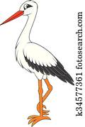 Stork