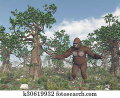 Bigfoot in the wild Bigfoot in the wild