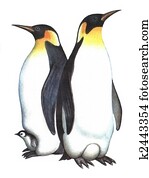 Birds Emperor Penguin