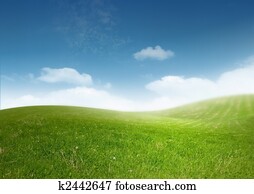 bonito, limpo, paisagem