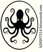 octopus octopus