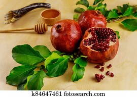 Pomegranate and honey for Rosh Hashanah with horn. Pomegranate and honey for Rosh Hashanah with horn.