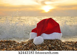 Tropical christmas Tropical christmas