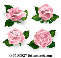 円 の ピンクのバラ イラスト K Fotosearch