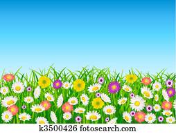 Flower field Flower field