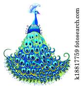 Peacock. Peacock.