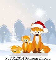 red fox family at Christmas hat red fox family at Christmas hat