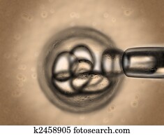 Stem cell research Stem cell research
