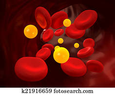 כולסטרול, /, סוכרת