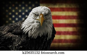American Bald Eagle on Grunge Flag