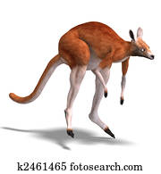 big red kangaroo big red kangaroo