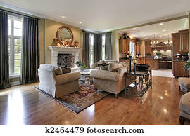 Traditional family room Traditional family room