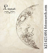 Vintage moon drawing Vintage moon drawing