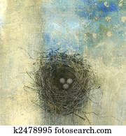 Bird Nest Bird Nest