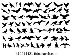 Birds vector Birds vector