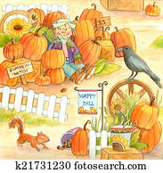 Pumpkin Patch Pumpkin Patch