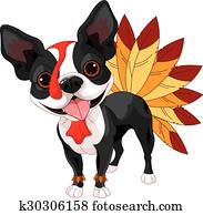 הודיה, טריר של בוסטון