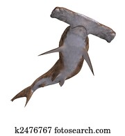 כריש של האמארהאיד