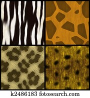 Animal Print Collection