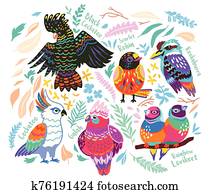 Collection of Australian Birds in vector, cartoon style Collection of Australian Birds in vector, cartoon style