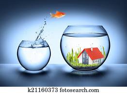 fish find house - real estate 