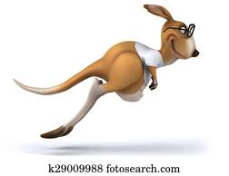 Fun kangaroo Fun kangaroo