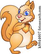 Squirrel cartoon Squirrel cartoon