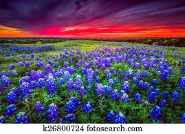 Sunset on Sugar Ridge Road, Ennis, TX