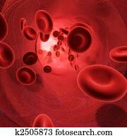 Blood(Red Globules)