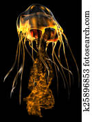 Glow Gold Jellyfish Glow Gold Jellyfish